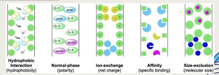 Protein chromatography methods