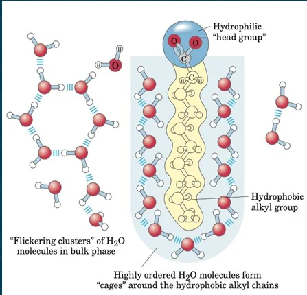 Hydrophobic effect diagram