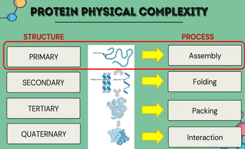 Protein physical complexity chart
