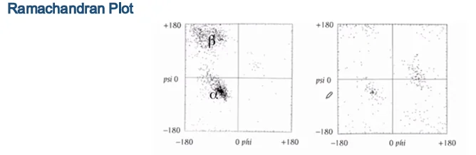 Ramachandran plot