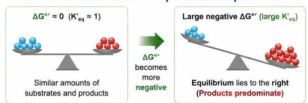 Reaction equilibrium diagram